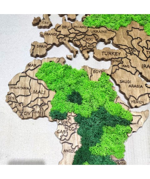 Карта мира из мхом золотой дуб