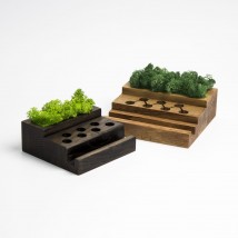 Organizer made of wood and moss