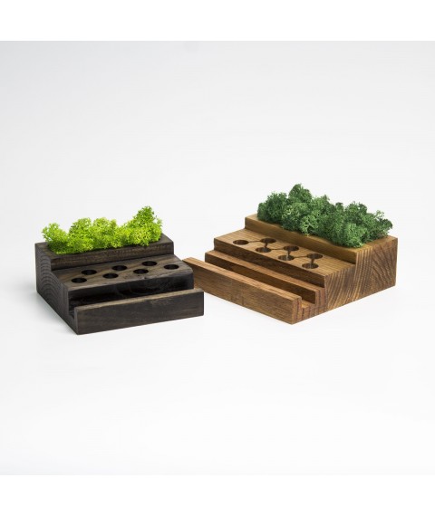 Organizer made of wood and moss