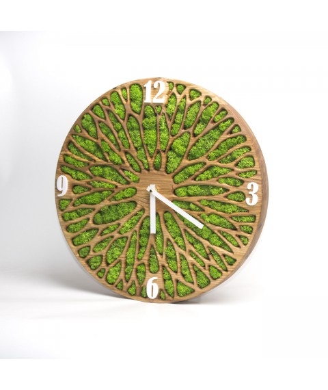 Moos Uhr. Wanduhr. Uhr aus Holz. Durchmesser 40 cm