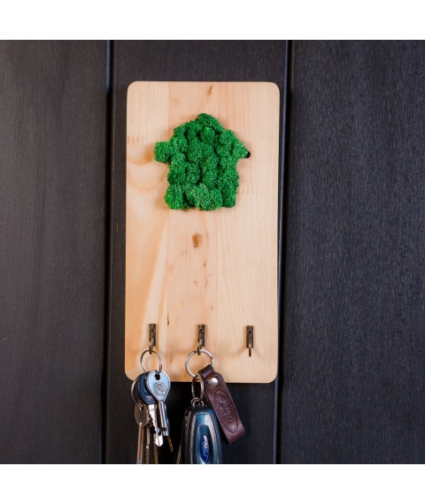 Key holder wooden with moss. For keys