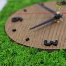 Modern wall clock with moss.