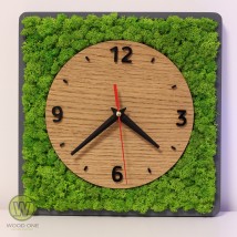 Modern wall clock with moss.