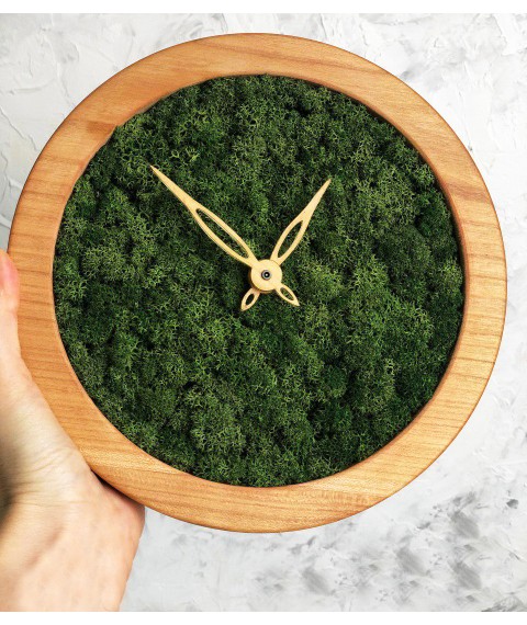 Wall clock MOX with moss diameter 20 cm