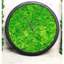 Moss wall clock diameter 25 cm