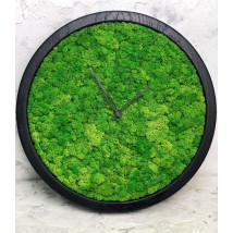 Wall clock MOX with moss diameter 35 cm