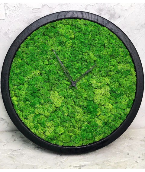 Часы настенные МОХ с мхом диаметр 35 см