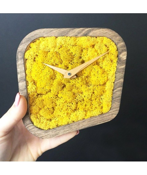 Designer table clock with moss (15 * 15 * 4 cm)