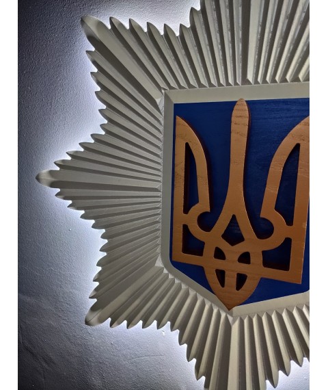 Эмблема МВС Украины с подсветкою 60х60х5 см
