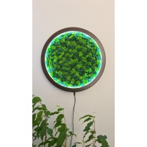 Эко-дерево с живого мха с подсветкой "Raspberry mint"