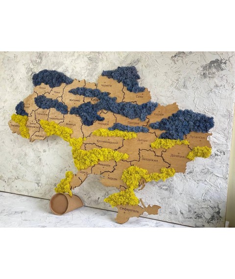 Карта Украины на стену из фанеры и мха 1000х650 мм , дуб золотой.