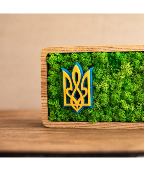 Часы с мхом и гербом Украины. Герб Украины