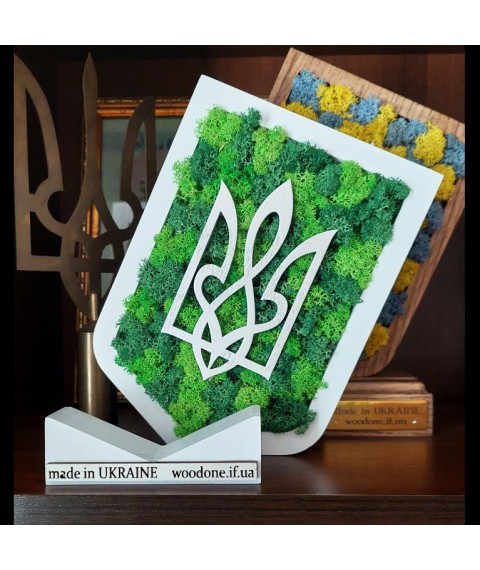 Герб Украины с мхом. Символика Украины