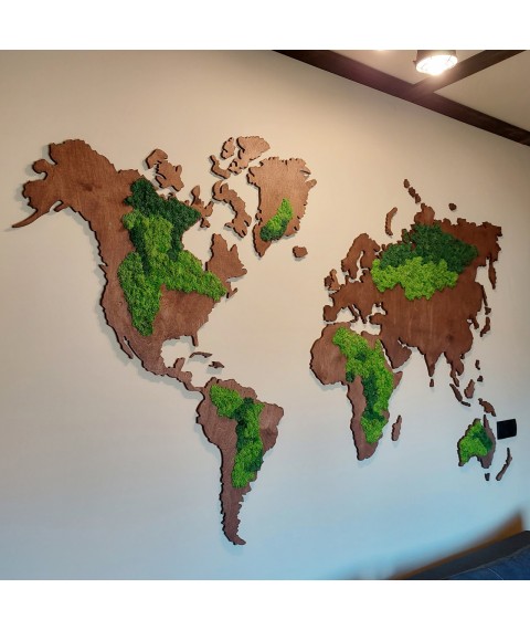Дерев'янная карта мира со стабилизированным мхом