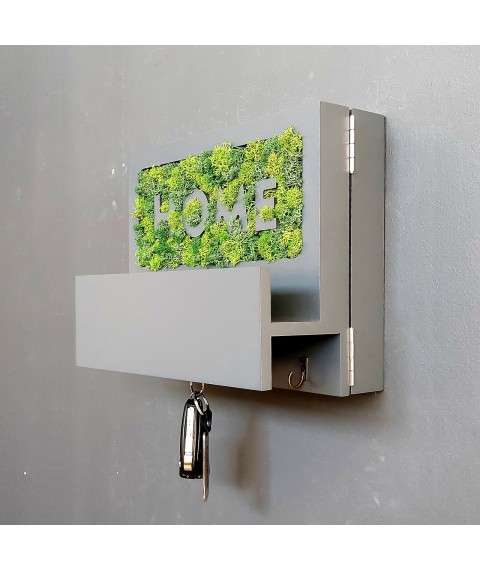 Wall key holder with moss and a shelf. Close shield! Graphite color.
