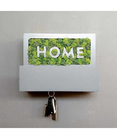 Wall key holder with moss and a shelf. Close shield! Graphite color.