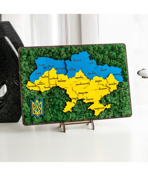 Карта Украины с мхом. Панно Украины