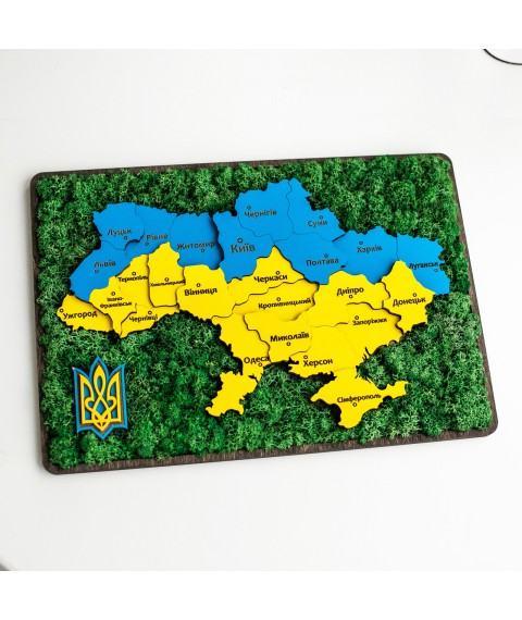 Карта Украины с мхом. Панно Украины