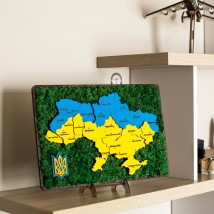 Карта Украины с мхом.