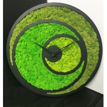 Wall clock with moss diameter 30 cm