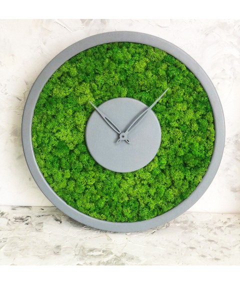 Часы настенные МОХ с мхом диаметр 40 см