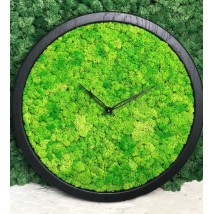 Wall clock MOX with moss diameter 50 cm