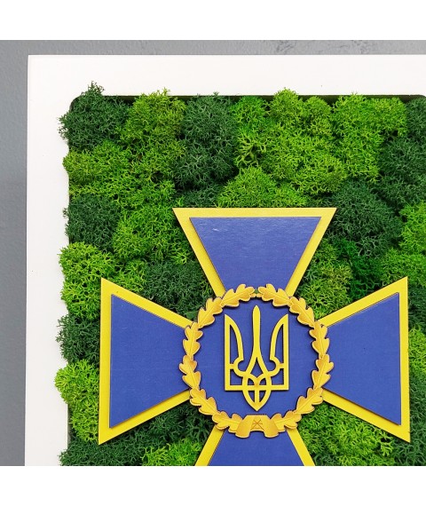 Герб Украины с трезубцем. Символика Украины.