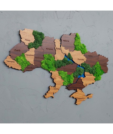 Карта Украины на стену с имитацией дерева, с мхом 600х400 мм