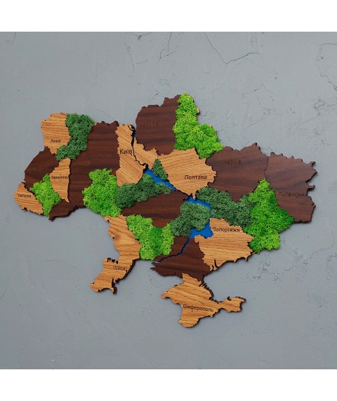 Карта Украины на стену с имитацией дерева, с мхом 600х400 мм