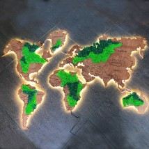 Карта мира с подсветкой и стабилизированным мхом