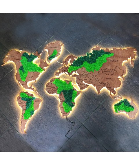 Карта мира с подсветкой и стабилизированным мхом