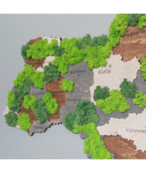 Карта Украины на стену из тонированной фанеры и мхом 100х60 см