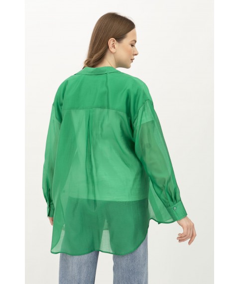 Подовжена напівпрозора блуза зелена в стилі оверсайз Леора