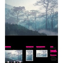 Фотообои флизелиновые дизайнерские Природа лес в лоджию, холл, коридор Misty Forest 250 см х 155 см