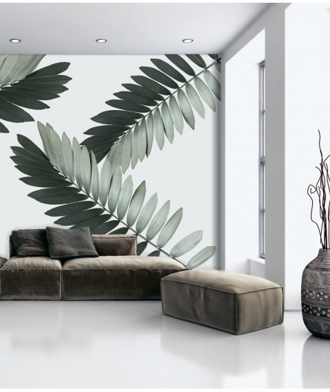 Фотообои флизелиновые структурные в гостиную листья пальмы Замия Palm Zamia Furfuracea Mexican 310 см х 280 см Leather