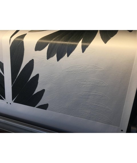 Рельефные фотообои дизайнерские для стен листья пальмы Замия Palm Zamia Mexican Dimense print 465 см х 280 см