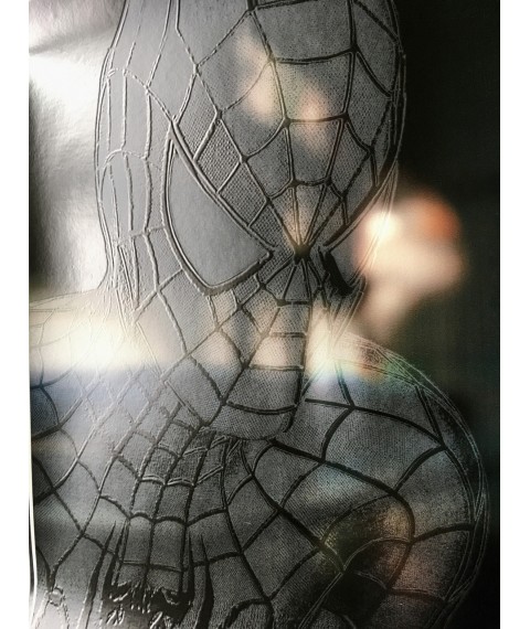 Poster Spiderman Spider-Man an der Wand auf Leinwand nach Zahlen Nr. 2 50 cm x 35 cm