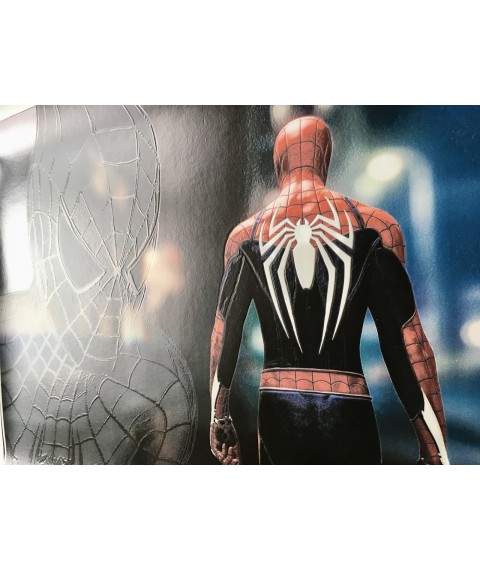 Spiderman poster Spider-Man on the wall on canvas by numbers # 2 50 cm x 35 cm