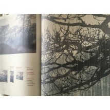 ?ko Tapete im Schlafzimmer Designer Forest Natur Misty Forest 320 cm x 290 cm