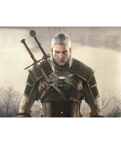 Poster The Witcher gift for gamer The Witcher designer PrintHouse 50 cm x 50 cm