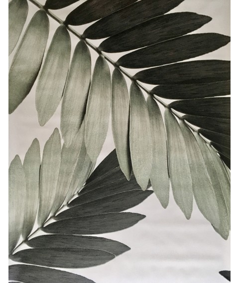 Постер листья пальма рисунок Замия Palm Zamia Furfuracea Mexican 124 см х 210 см