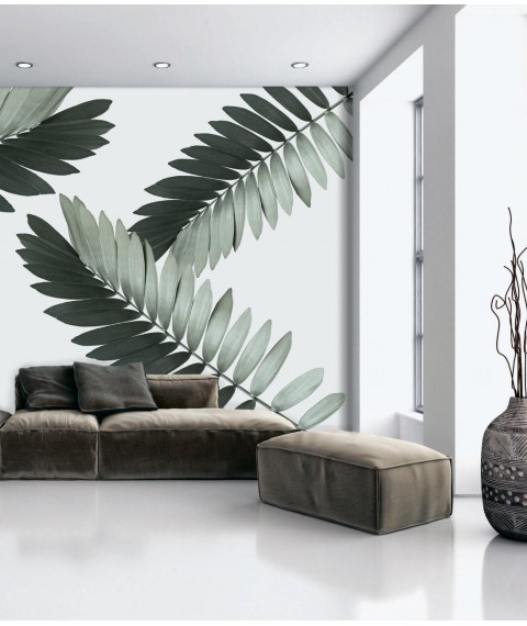 Постер лист пальмы комнатные Замия Palm Zamia Furfuracea Mexican 210 см х 124 см
