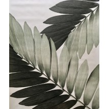 Постер лист пальмы комнатные Замия Palm Zamia Furfuracea Mexican 210 см х 124 см