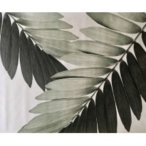 Распродажа уценка плакат листья пальма рисунок Замия Palm Zamia Furfuracea Mexican 267 см х 124 см