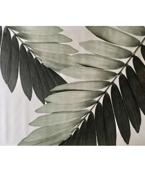 Распродажа уценка плакат листья пальма рисунок Замия Palm Zamia Furfuracea Mexican Dimense 267 см х 124 см