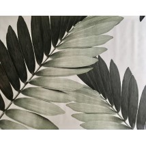Poster palm leaf indoor Zamia Palm Zamia Furfuracea Mexican 210 cm x 124 cm