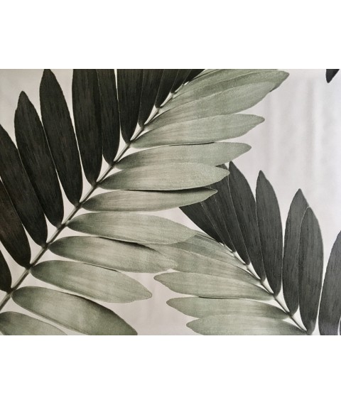Poster palm leaf indoor Zamia Palm Zamia Furfuracea Mexican 210 cm x 124 cm