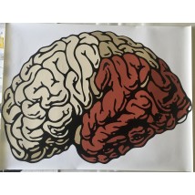 Poster brain brain walter White Brain embossed design Dimense Print-House 90 cm x 70 cm