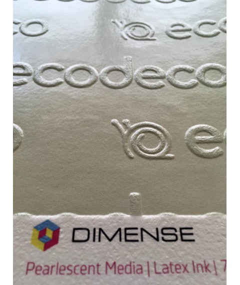 Wallpaper corporate identity Logo design embossed Dimense print 465 cm x 280 cm