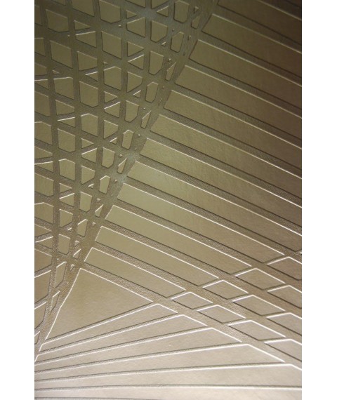 ?berstreichbare 5D-Tapete f?r W?nde Weben Dimense Deco Weave Struktur 155 cm x 250 cm